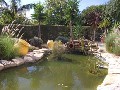 garden-pond2