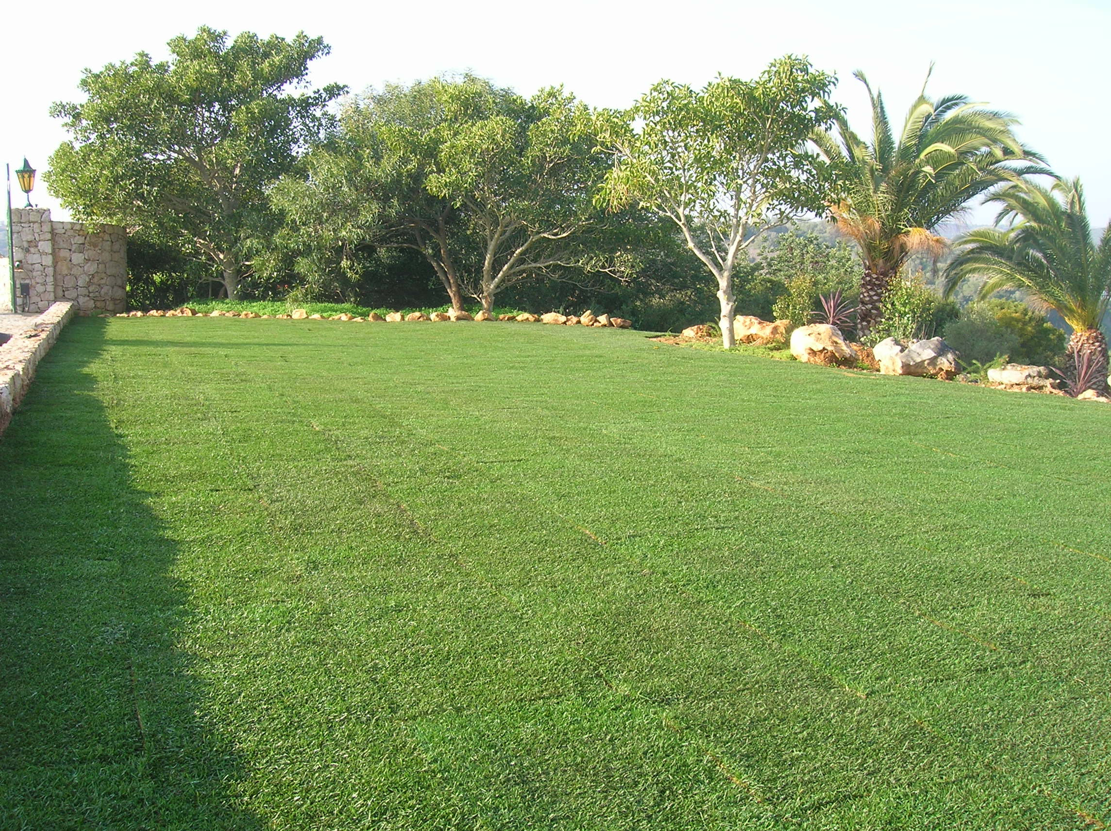 lawns in the algarve
