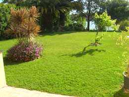 lush green lawn in portugal