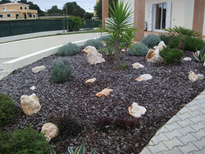 small garden in portugal