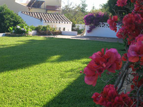 lush green lawn in portugal