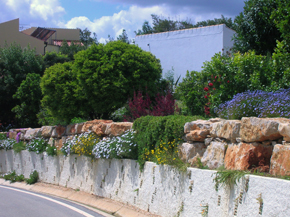 rock wall in flower